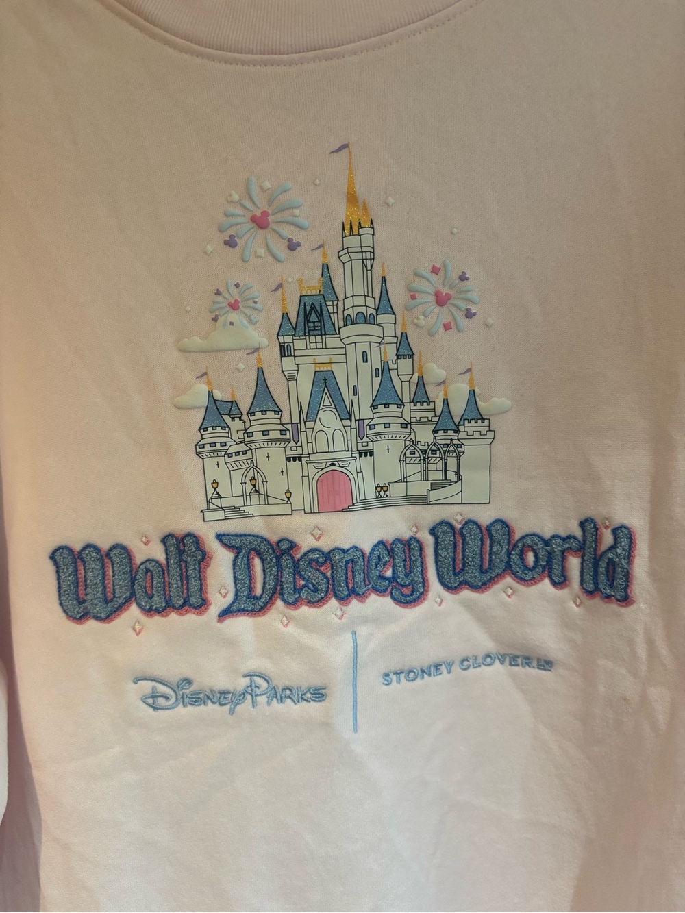 Disney parks x Stoney clover sweatshirt Disney world